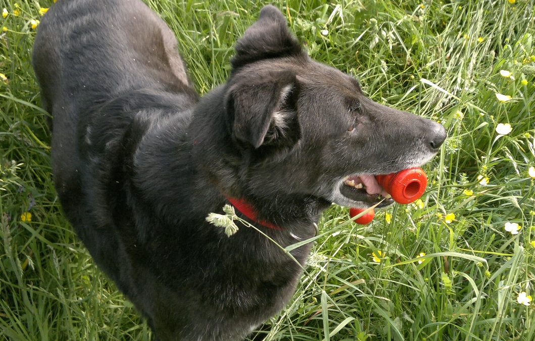 Balljunkie.jpg (1059 x 675)